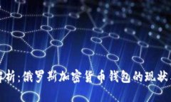 全面解析：俄罗斯加密货币钱包的现状与发展